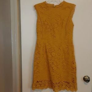 Gorgeous gold lace dress